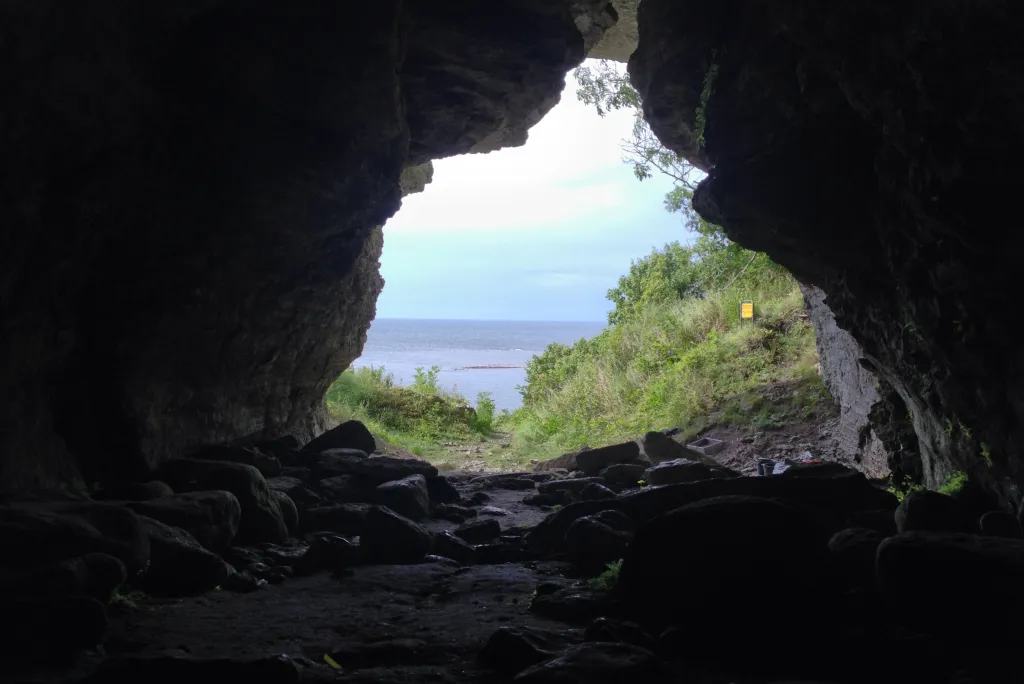 Two Wolves, One Remote Island, Thousands of Years: Who Brought Them There — and Why Did They Stay?